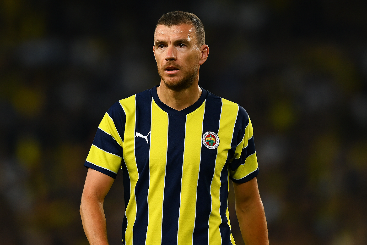 Fenerbahçe transfer haberleri, Edin Dzeko ayrıldı mı
